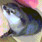 [댓글부탁해] 내가 섹드립치면 <b>딴말</b>로 돌리는 남친 뭐임