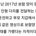 6살 <b>유투</b>버 아동학대사건..