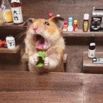 페북 <b>비활</b>타면