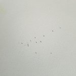 [일불매운동] 유니클로 <b>에어리</b>즘 불량문제로 3달째 답을 기다리고...