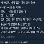 [드루와] 집에 <b>바퀴</b>벌레가 있는지 알 수 있는 방법
