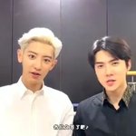 [EXO] 쿨트 웹뽀에 찬세 영상 올라옴