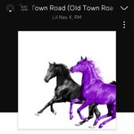 <b>RM</b>이 릴나스엑스랑 콜라보함