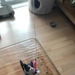 [댓글부탁해] 나 나이차이 많이나는사람한테만 끌리는데 어카냐ㅠㅠ
