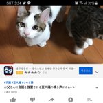 우리 지금 일본 <b>불매</b> 중이자나..근데 이런것도 <b>불매</b>해야됨..??