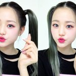 <b>올빽</b> 양갈래에도 살아남는 여돌