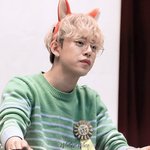 <b>매혹적</b>인 고양이상 아이돌