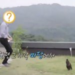 [EXO] 아 <b>앞부분</b> 못봤는데 조카 웃기네ㅋㅋㅋㅋㅋㅋ