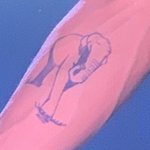 [EXO] 종인이 아버지가 그려주신 <b>코끼리</b>래ㅠㅠ