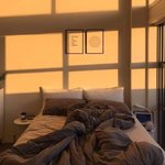 [ㅈㄱㄴ] 범성애잔데 짝<b>녀랑</b> 영화 보는데 짝녀가