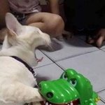 <b>무산</b>이 답인 이유 5가지 정확히 알려준다