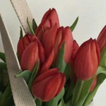 [댓글부탁해] 속촉촉+겉보송에 <b>지속력</b> 짱짱한 베이스 알려줄까