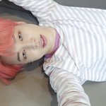 [방탄소년단] 사람 홀리는 강양이