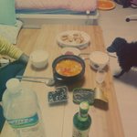 [강아지] <b>반려</b>견은 사랑이죠