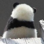 <b>코오</b>~~