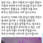 [모두드루와] 말하는거에 치이는 아이돌