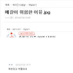 메갈 <b>자체</b> 인증녀
