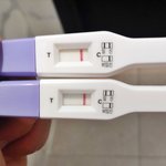 [19] 급해 임신테스<b>트기</b>좀 봐줘