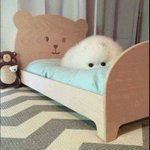 [댓글부탁해] 강아지 <b>침대</b>사줬더니...