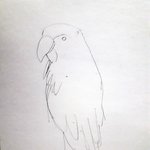 [댓글부탁해] 크레파스 그림 앵무새 과정+영상 <b>링크</b> 지웠어