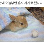 남자들은 <b>키</b> <b>얘기</b>할때 이거모르겠지,,