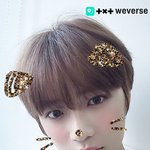 [TXT사진] 위버스/cat  <b>or</b>  dog?