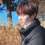 [댓글부탁해] <b>내</b> <b>성적</b>으로 인하대 가능해?