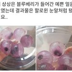 [모두드루와] 블루베리가 들어간 예쁜 <b>얼음</b>을 만들고 싶었다