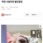 [EXO] ⬇️백현 <b>삭발</b>이랑 김민석 악개 2개 여기서봐