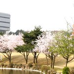 [댓글부탁해] 수원대>성균관>아주<b>대임</b>