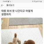 [드루와] 난 치킨보다 <b>탕수육</b>이 더 조앙