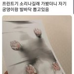 <b>에어</b>팟 쓰는거 나만 그러냐