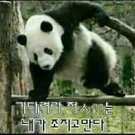 [19] 빛삭으로 자꾸 낚시질 하는 새<b>ggi</b>