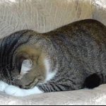 <b>잘</b> <b>자</b>~~