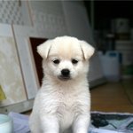 [드루와] ㅅㅂ 짝남이 <b>도서관</b>에서ㅠㅠㅠㅠ