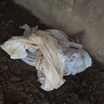 [꼭조언부탁] 살인자 아버지의 범행이 밝혀지게 도와주세요...