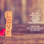 사랑은 아마도 이런게 아닐까