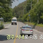 이효리는 제주도 살잖아?