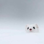 호냐<b>미</b>사과받아줘 <b>돈</b>달라하지망