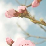 <b>운동학원</b>에 화장 하고 오는 게 그리 아니꼬울 일이냐... ㅠㅠㅠ