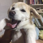 <b>멀티</b> 안 되는데 편의점 알바