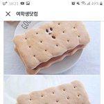 <b>필통</b> 추반좀