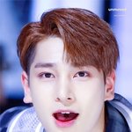 <b>T존</b> 부각 오지는 남돌