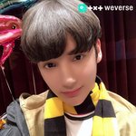 [TXT사진] 위버스/함께해서 눈부셨던 모든 <b>날들</b>!