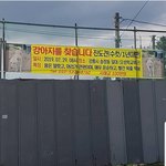 [강아지] <b>강릉</b>대박이 찾고있어요