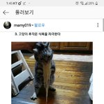 [댓글부탁해] <b>바이킹</b>이