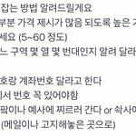 [이진혁] <b>플</b><b>미</b>벌레 퇴치법