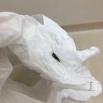 [댓글부탁해] 씻고나와서 방에서 옷안입은<b>채로</b> 침대에 엎어져있었는데;;