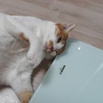 [댓글부탁해] <b>김태은</b> 이라는 이름 ㅇㄸ