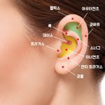 [드루와] 귀 한번에 5개 뚫는거 진짜오바냐